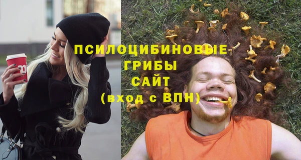 тгк Лиски