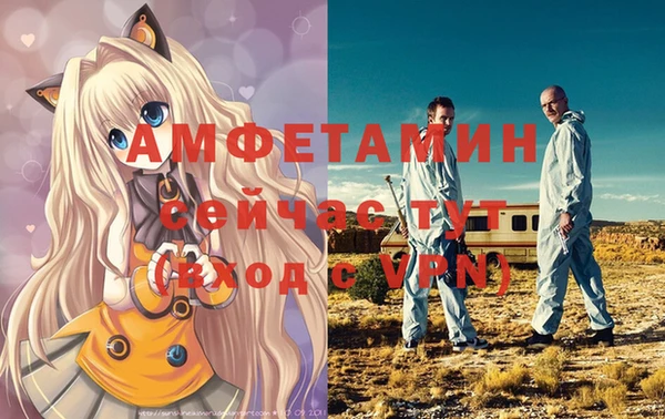 тгк Лиски